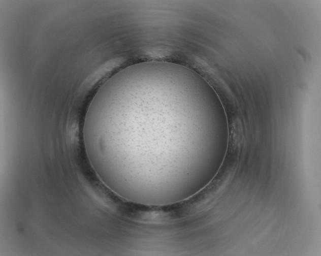 X0000113900212200910081836