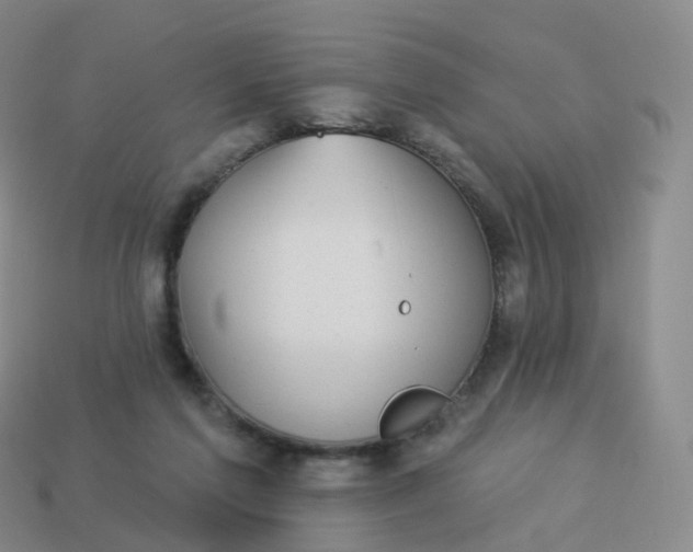 X0000113900213200910081836