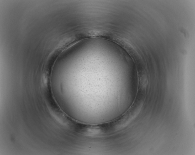 X0000113900214200910081836