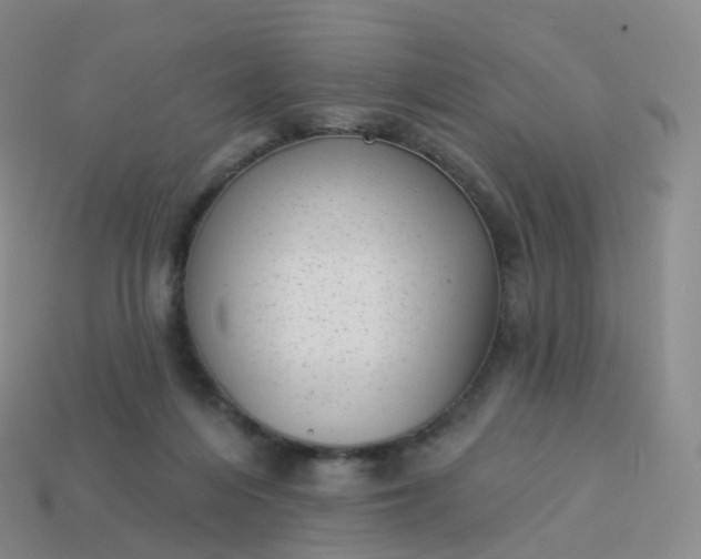 X0000113900216200910081836