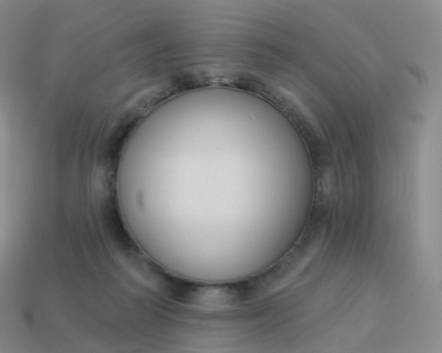 X0000113900218200910081835