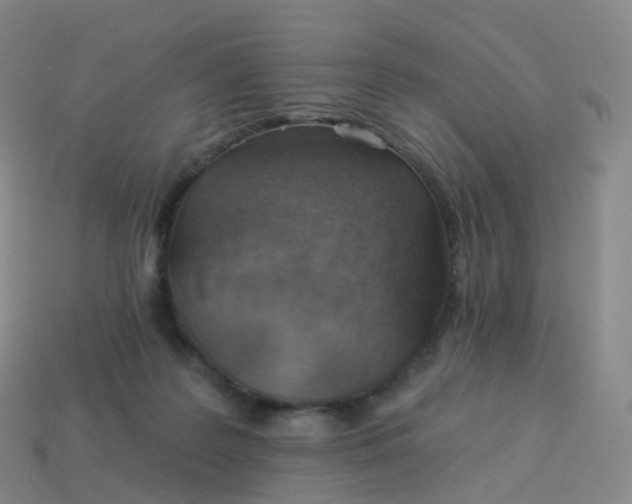 X0000113900219200910081835