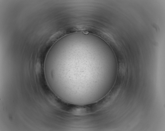 X0000113900220200910081835