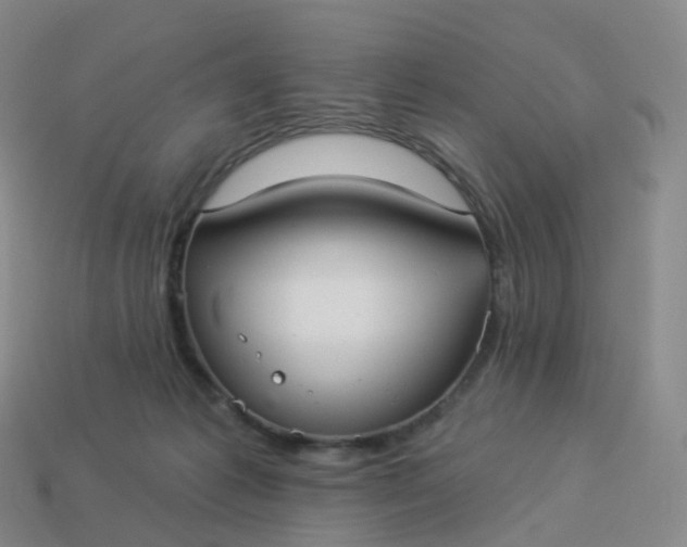 X0000113900221200910081835