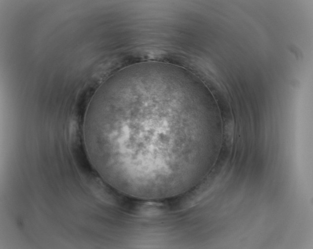 X0000113900222200910081835