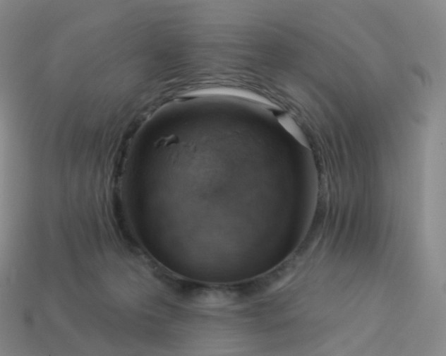 X0000113900223200910081835