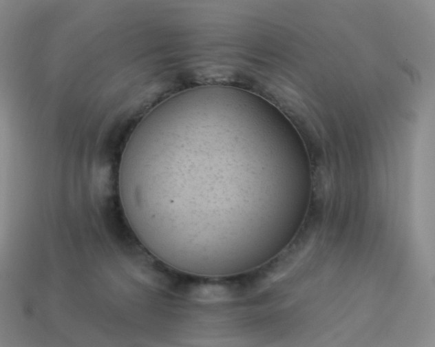 X0000113900224200910081835