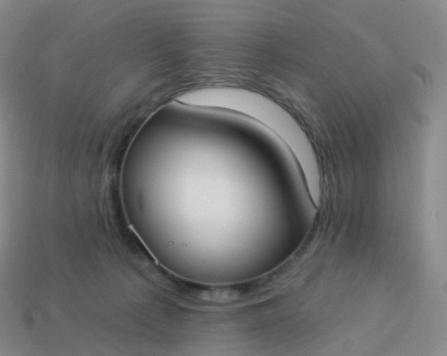 X0000113900225200910081835