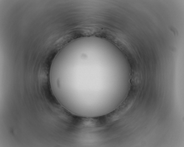 X0000113900226200910081835