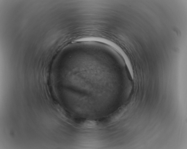 X0000113900227200910081835