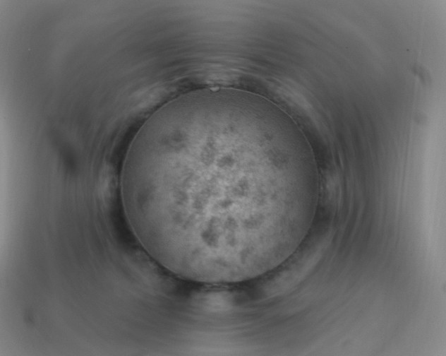 X0000113900228200910081835