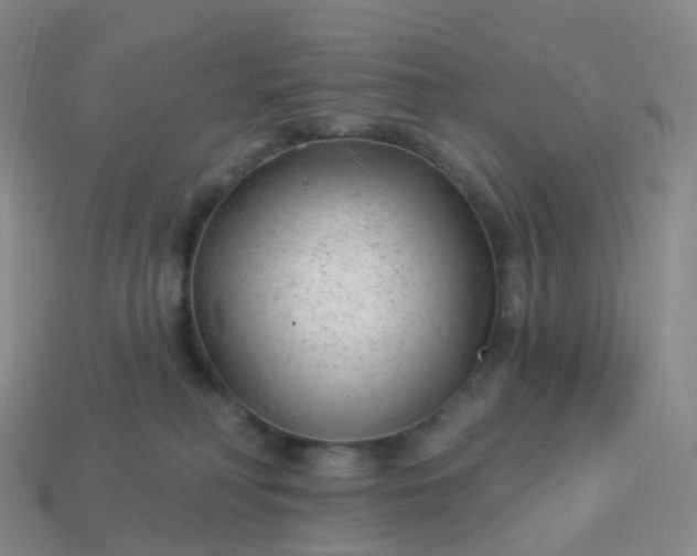 X0000113900230200910081835