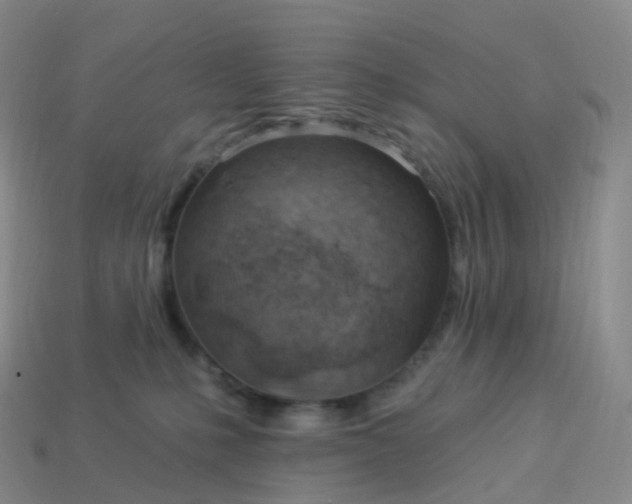 X0000113900231200910081835