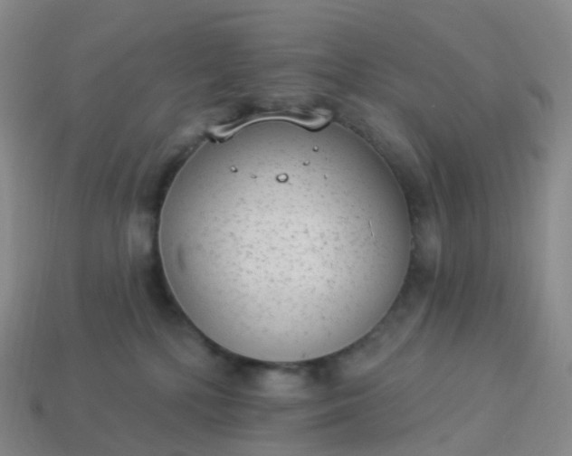 X0000113900232200910081835