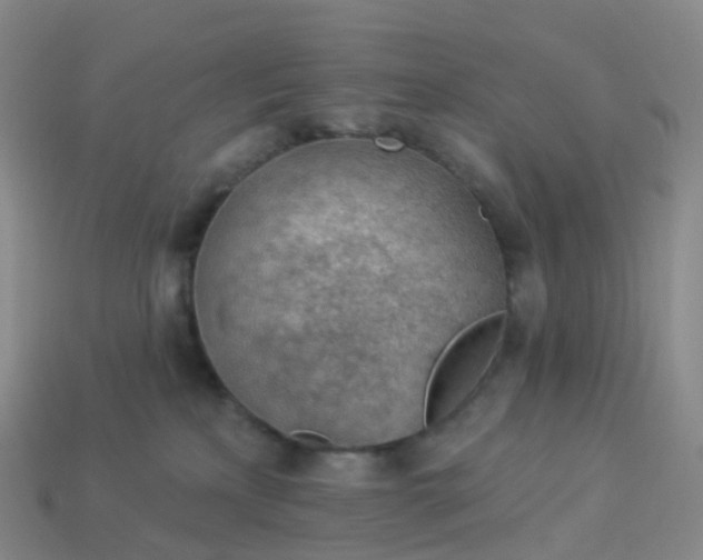 X0000113900233200910081835