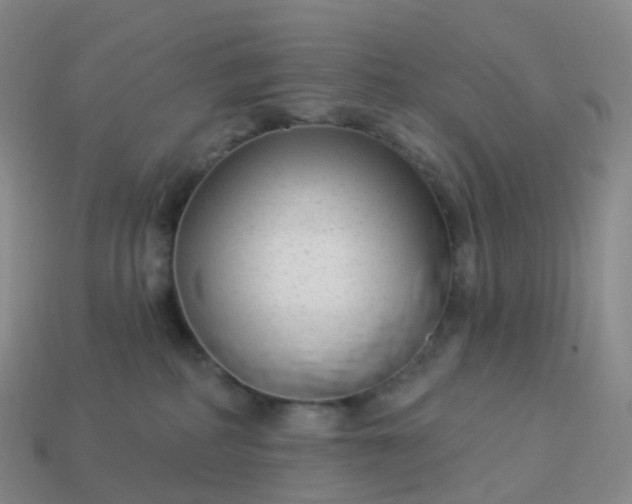 X0000113900234200910081835