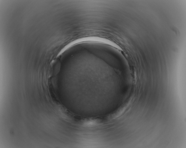 X0000113900235200910081835