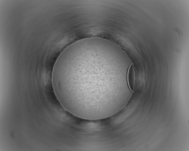 X0000113900236200910081835