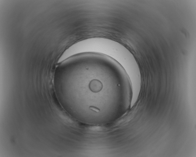 X0000113900237200910081835