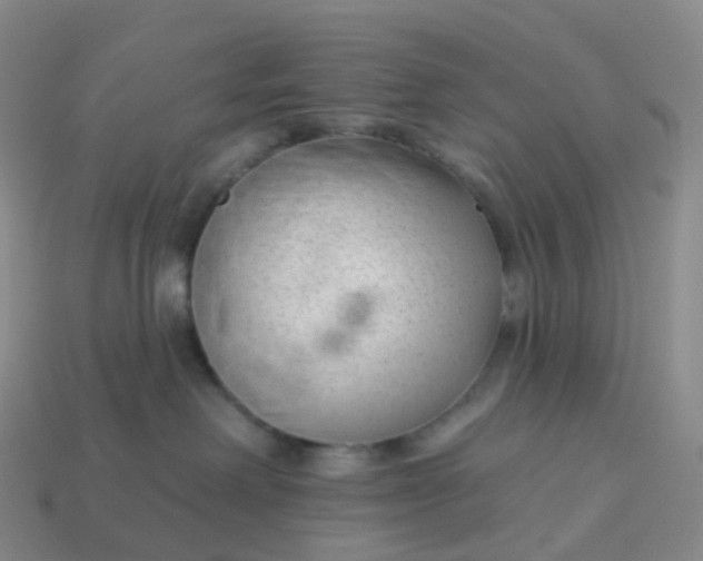 X0000113900238200910081835