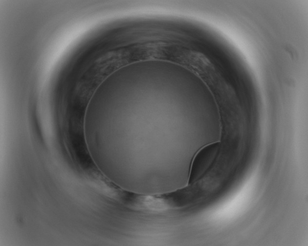 X0000113900239200910081835