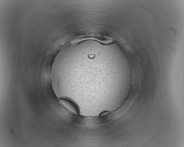 X0000113900240200910081835