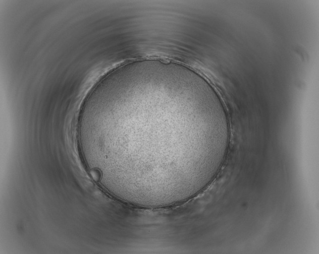 X0000113900241200910081834