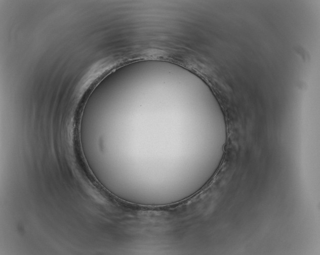 X0000113900242200910081834