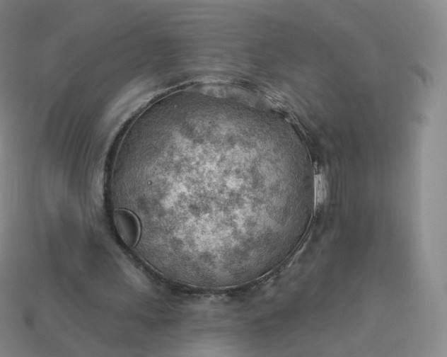 X0000113900243200910081834