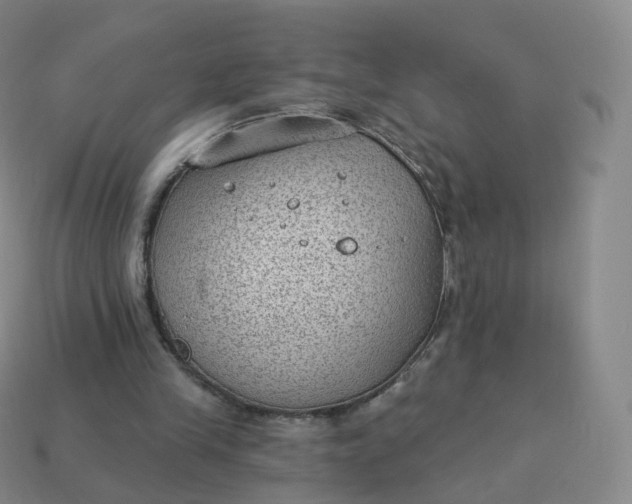 X0000113900245200910081834