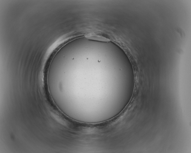 X0000113900246200910081834