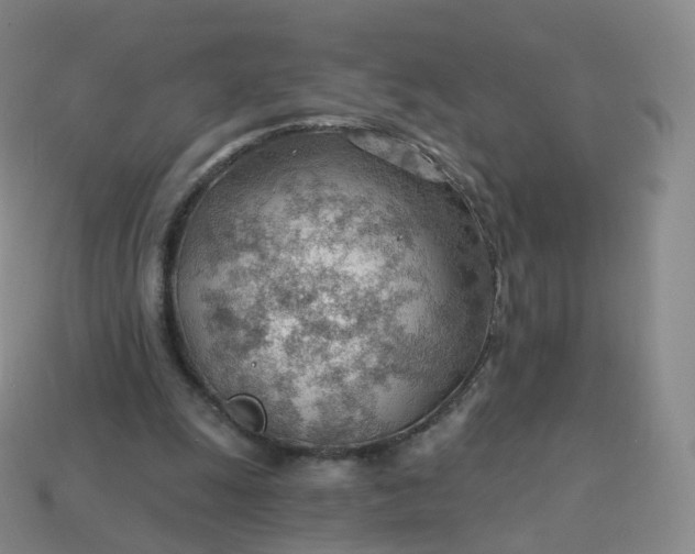 X0000113900247200910081834