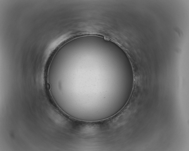 X0000113900248200910081834