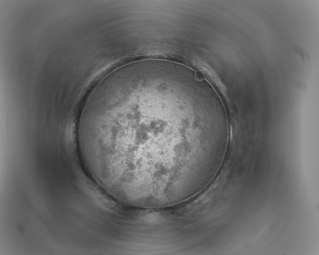 X0000113900249200910081835