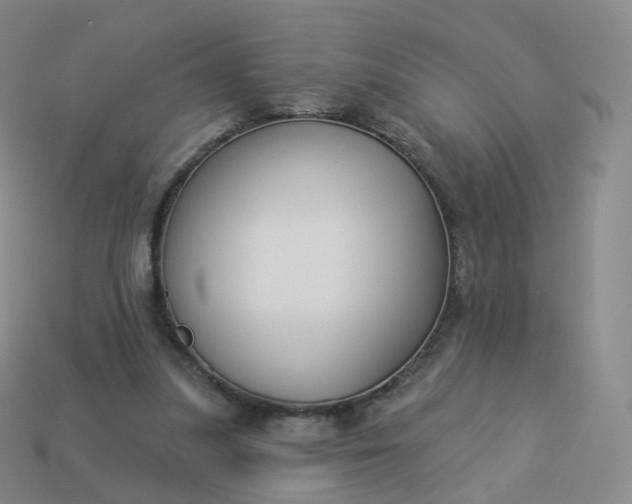 X0000113900251200910081835