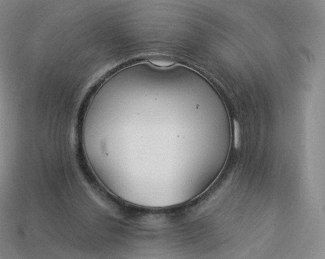 X0000113900252200910081835