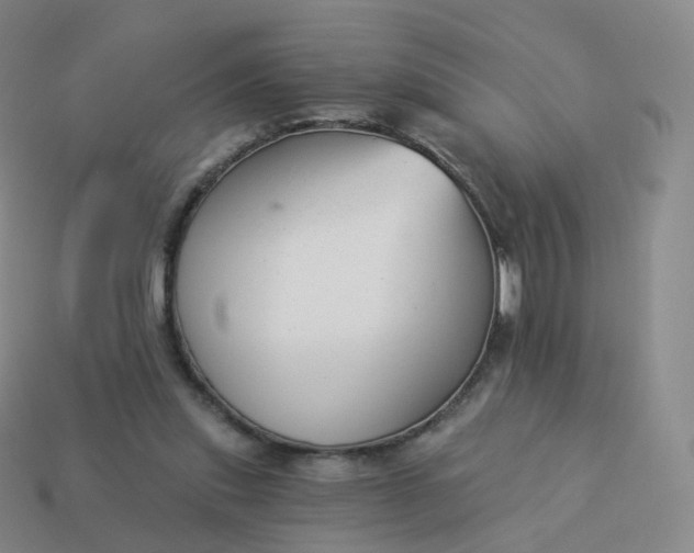 X0000113900253200910081835