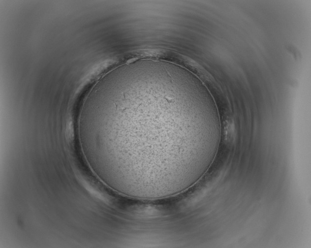 X0000113900254200910081835