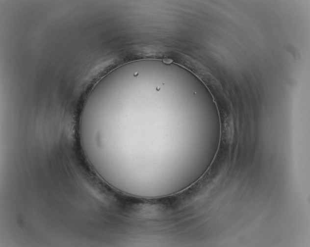 X0000113900255200910081835