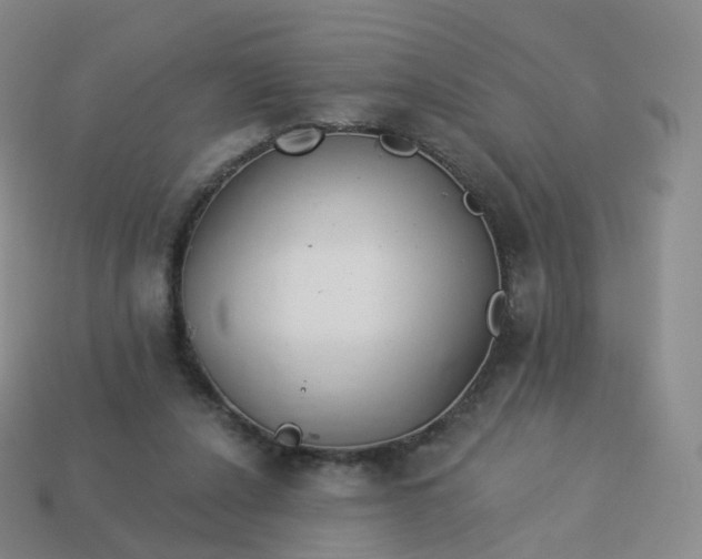 X0000113900256200910081835