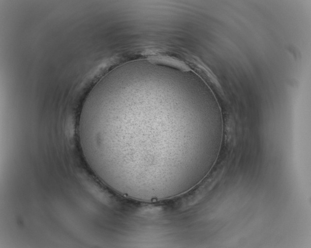 X0000113900257200910081835