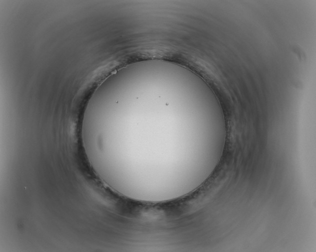 X0000113900258200910081835