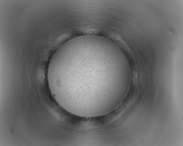 X0000113900259200910081835