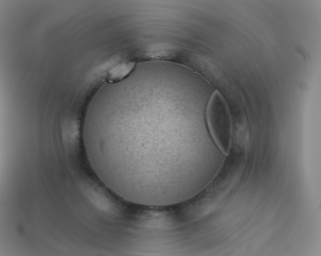 X0000113900260200910081835