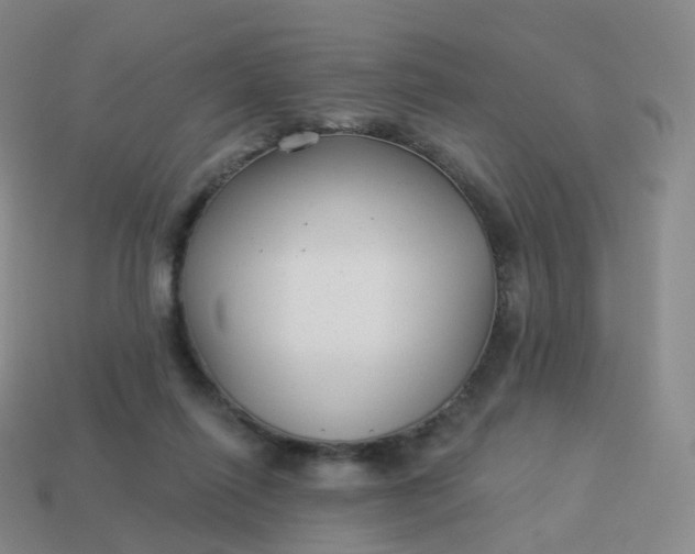 X0000113900262200910081835