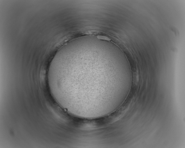 X0000113900263200910081835