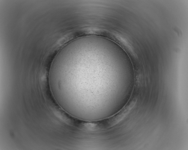 X0000113900265200910081835