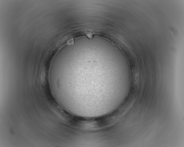 X0000113900266200910081835