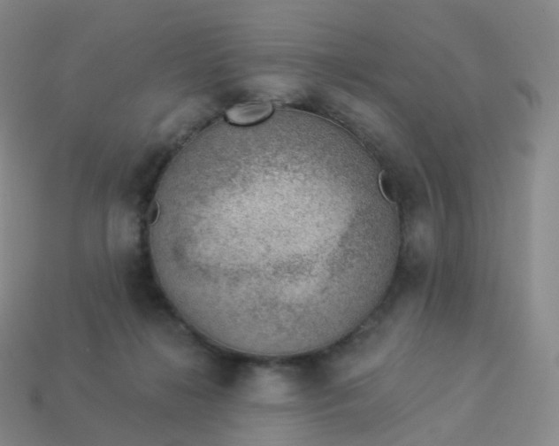 X0000113900268200910081835