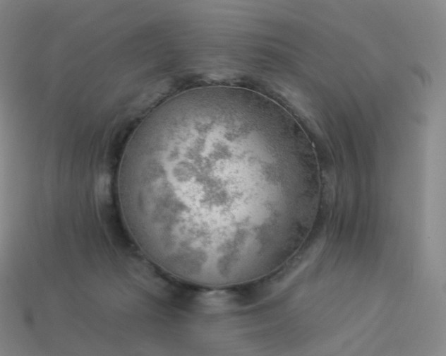 X0000113900269200910081835